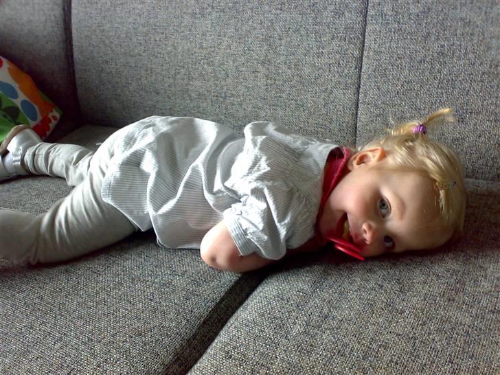 Mand Ronni billede 1