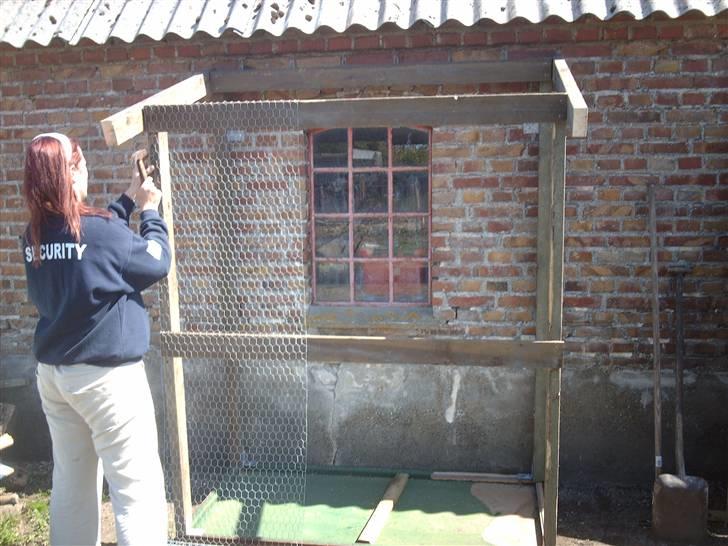 Kvinde Louise Brix - Er ved at lave udendørs bur til Chinchillaerne billede 3