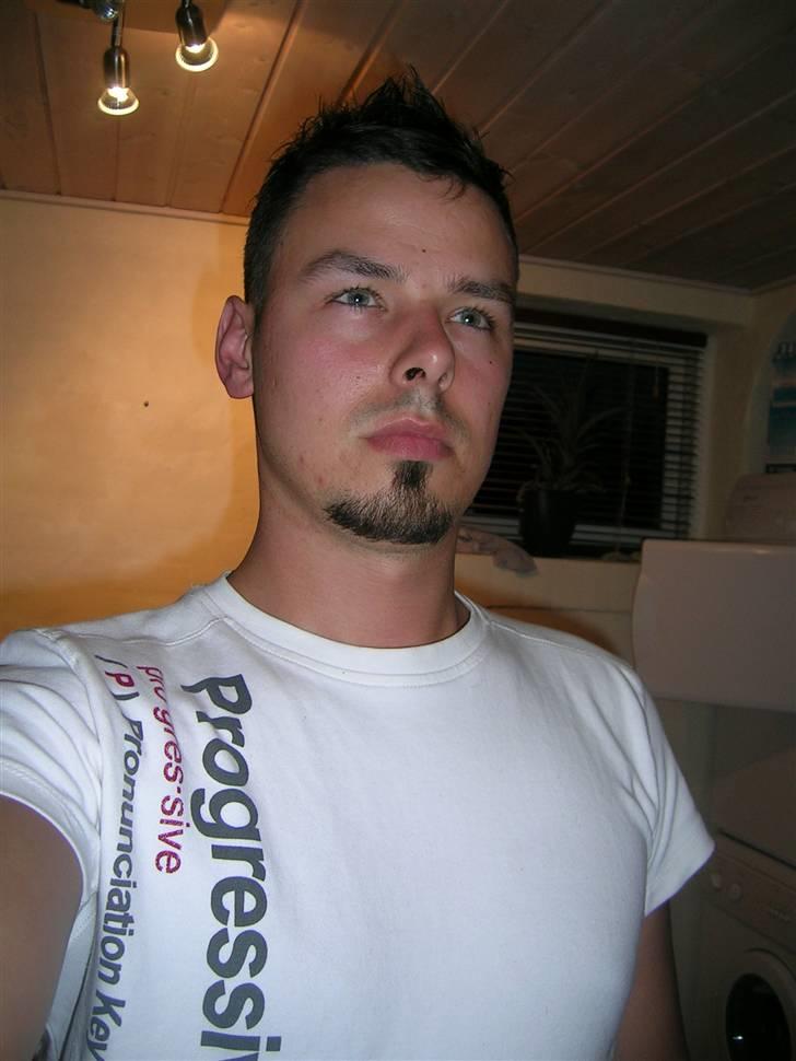 Mand LØVEN billede 16