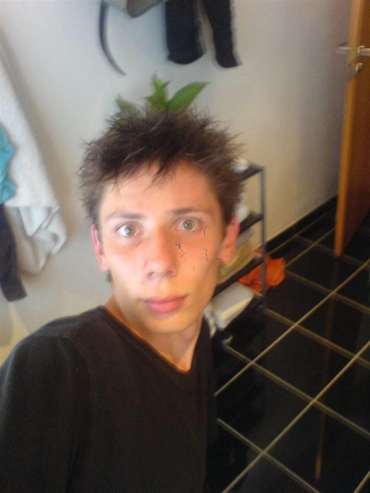 Mand patrick billede 5