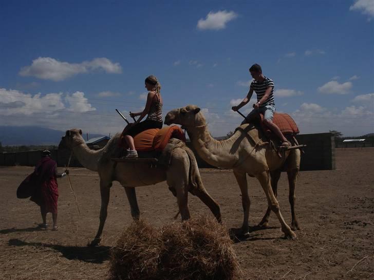 Kvinde . simone - Ude og ride på drommedar i afrika billede 3