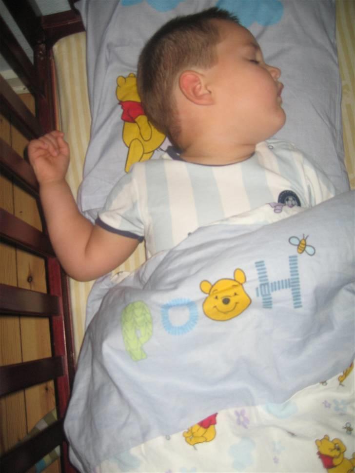Donni´s mærkelige sove stillinger!!! - Sover i min tremme seng *S* billede 6
