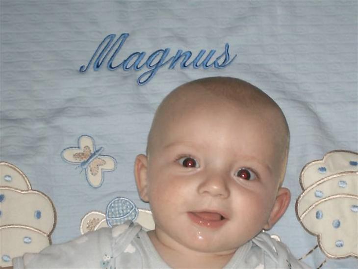 Magnus billede 0