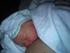 Min lille Malthe-mus