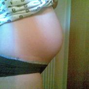 Gravid billeder