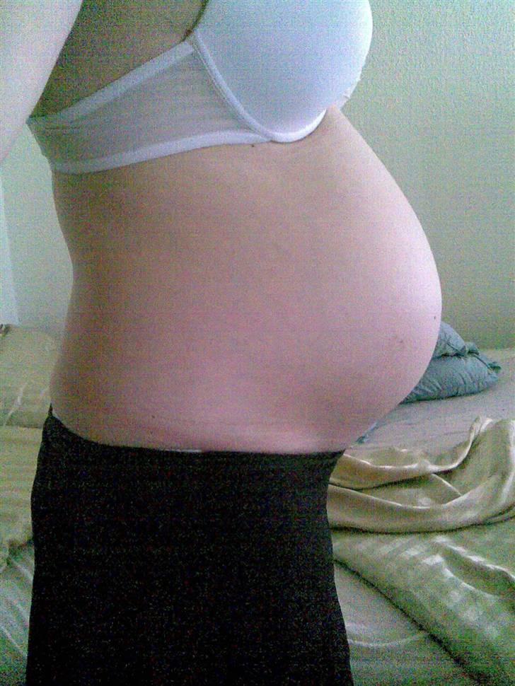 Gravid billeder - Mavsen uge 25+5 :) billede 9