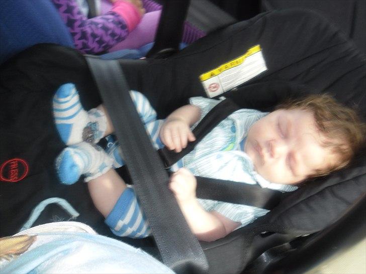 turen til sommerland syd 2011 billede 10