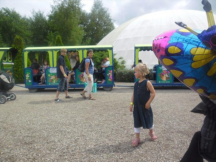 turen til sommerland syd 2011 billede 34