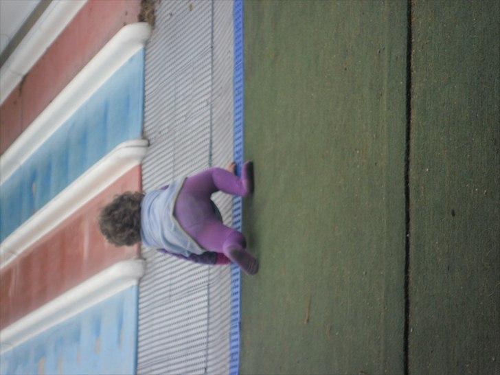 turen til sommerland syd 2011 billede 56