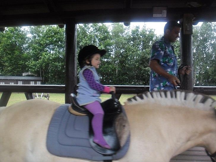turen til sommerland syd 2011 billede 58