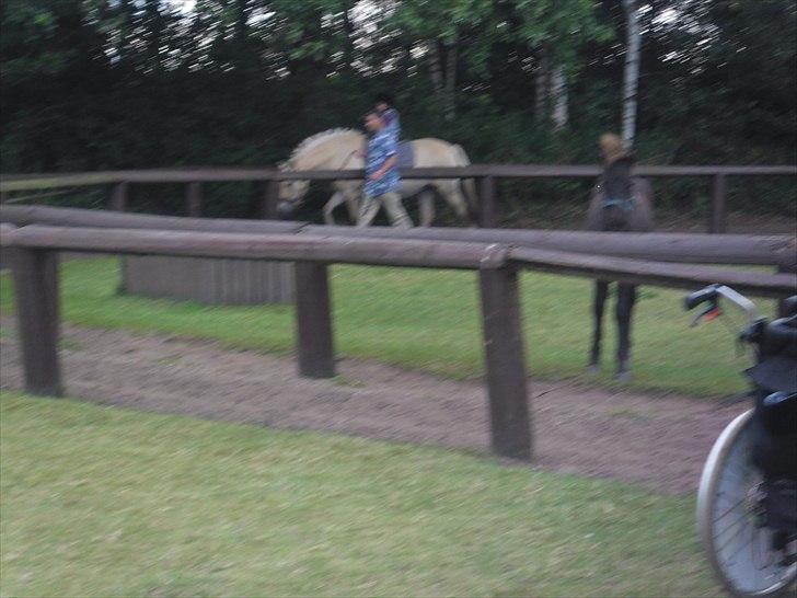 turen til sommerland syd 2011 billede 59