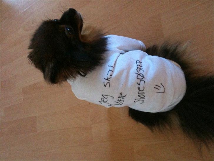 Min graviditet <3 - sådan fortalte vi min far og min bror det :) billede 11