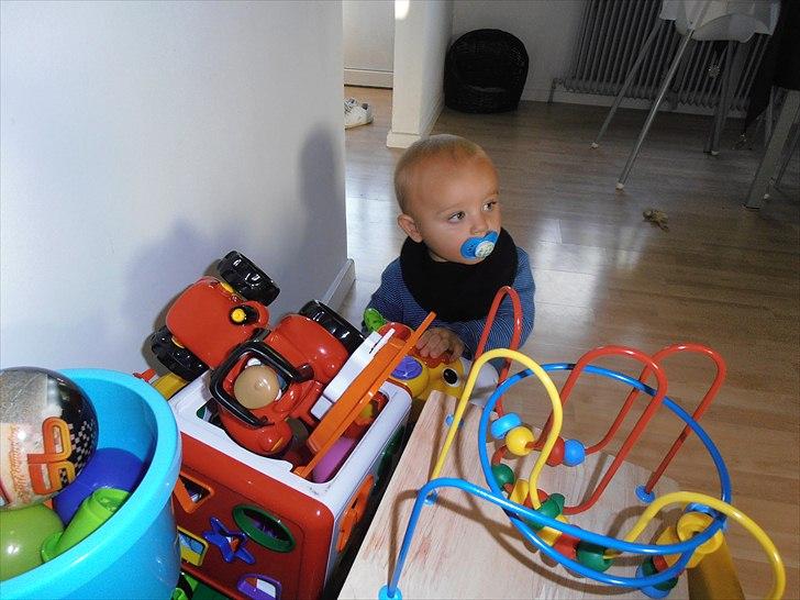 ude og hjemme  billede 17