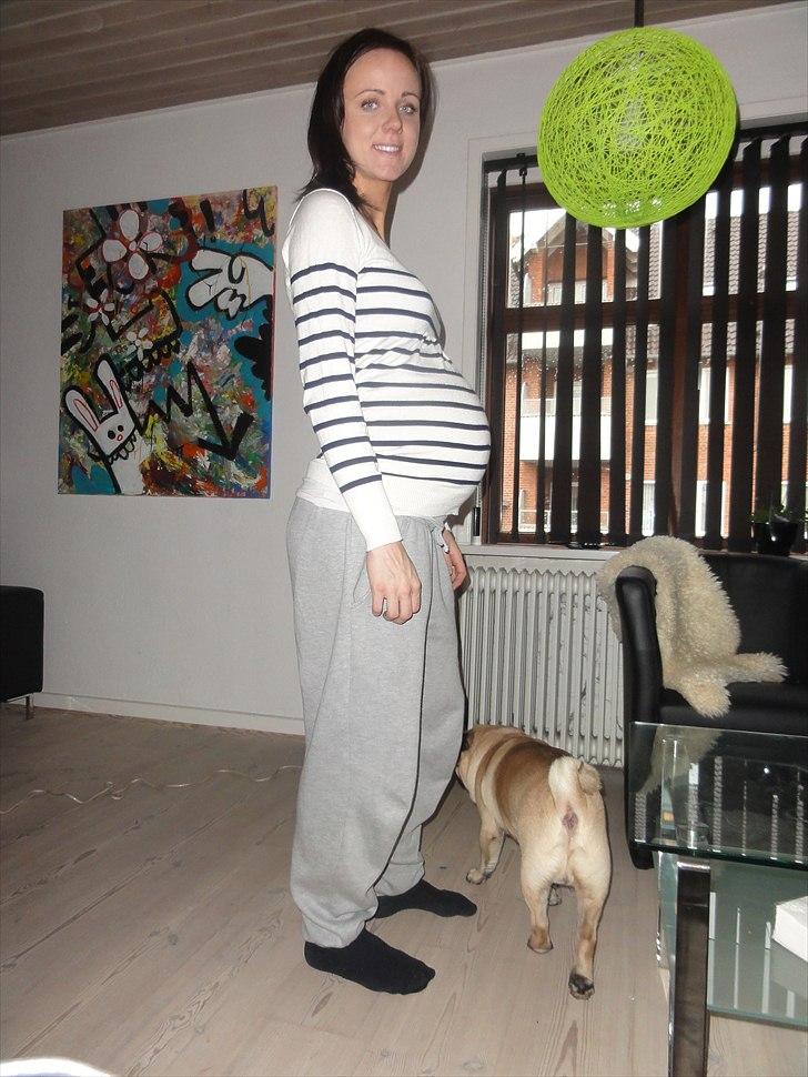 Mavebilleder <3 - 33+0 billede 10