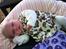 Baby 2012 - Luca 2 uger