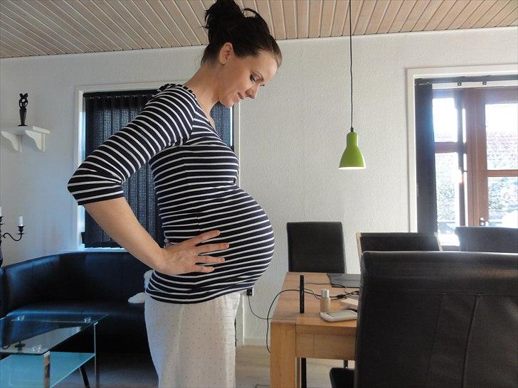 Mavebilleder <3 - 34+5 billede 12