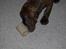 Vores hund Riki