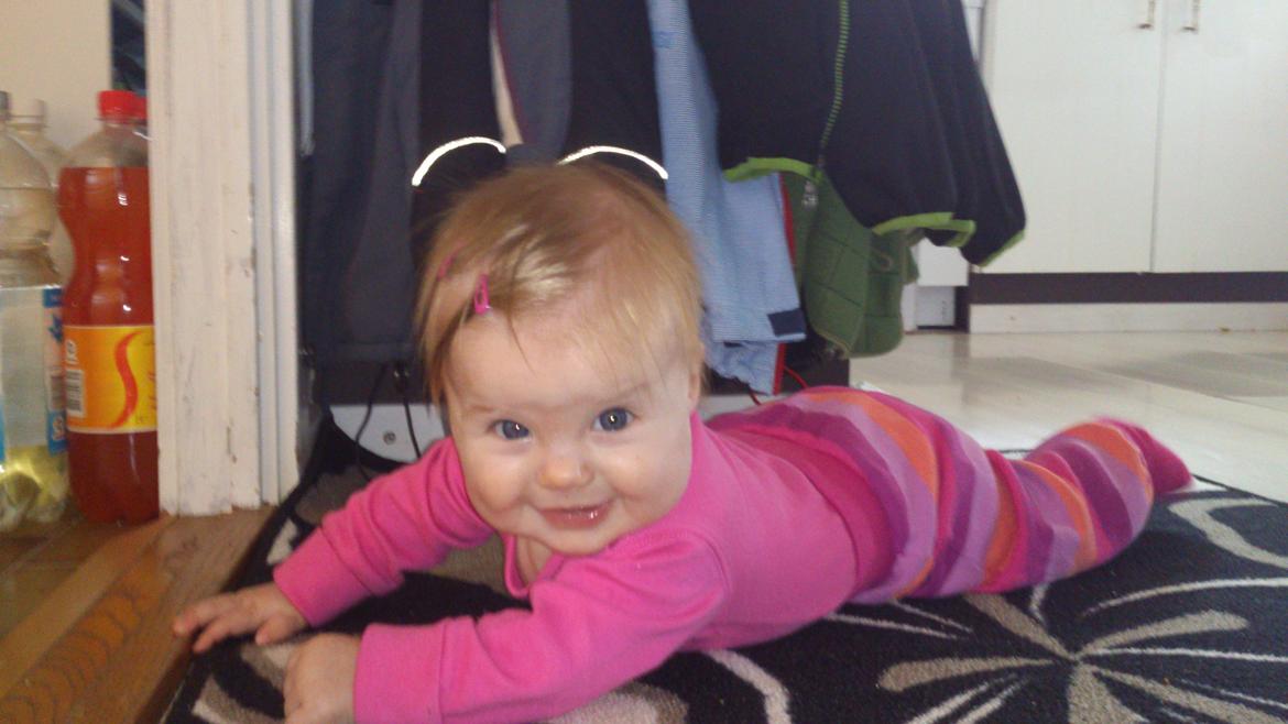 Freya på 5 mdr - stikker da lige af, mens mor skræller kartofler... billede 14