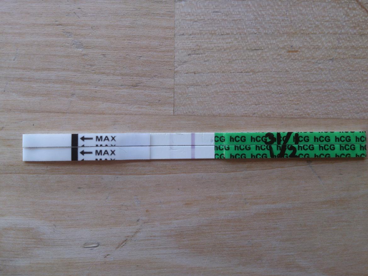 Oktober-dreng på vej :) - Hjemme test
(fik d. 31/1 taget hcg-blodprøve. Fik postivt svar d. 1/2 - hcg tal: 185) billede 8
