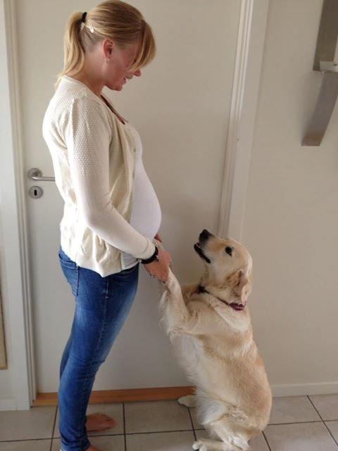 Min graviditet med tvillingerne <3 - 19+2 
Storesøster Malou <3 billede 33