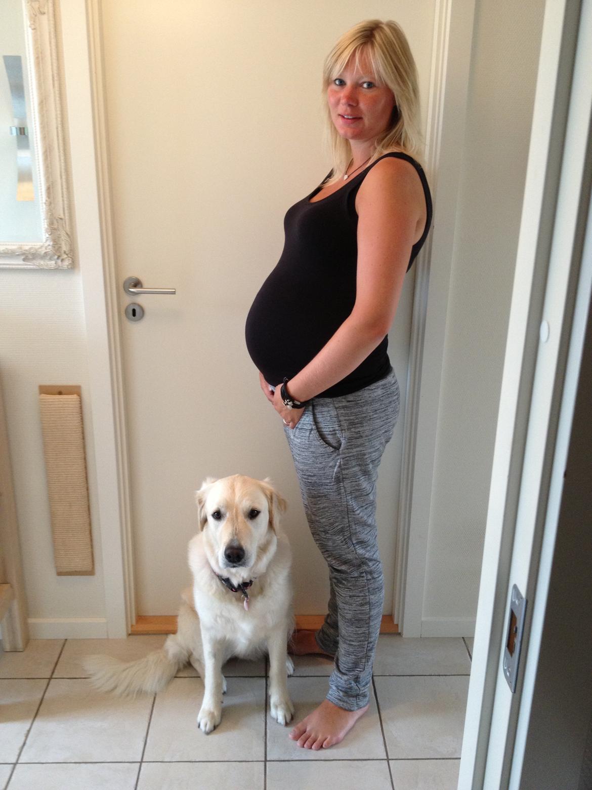 Min graviditet med tvillingerne <3 - 27+0 billede 43
