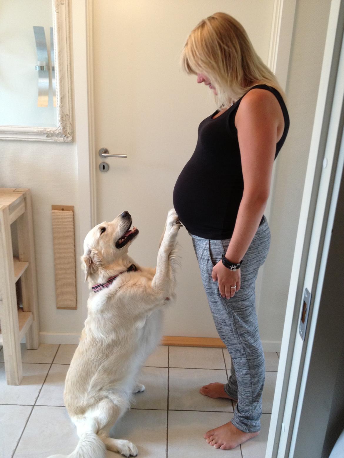 Min graviditet med tvillingerne <3 - 27+0 <3 billede 44