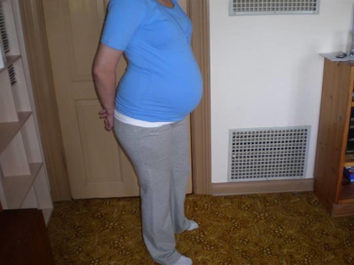 Mave billeder - 31+4 billede 9