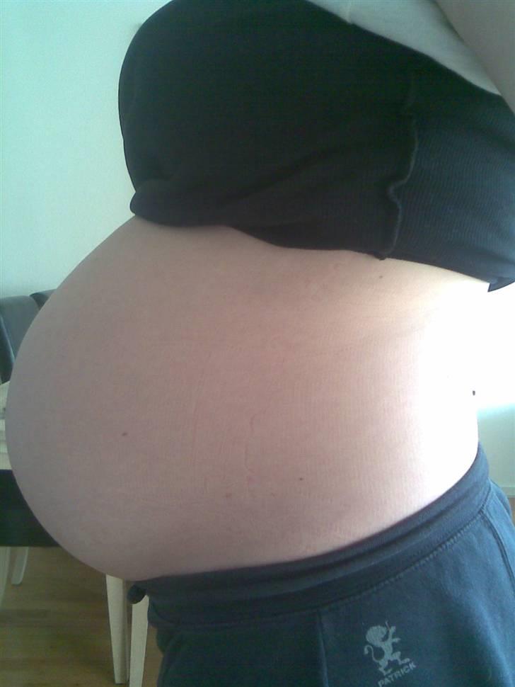 Gravid billeder - Mavsen uge 38+5 :) billede 10