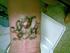 Tatoveringer