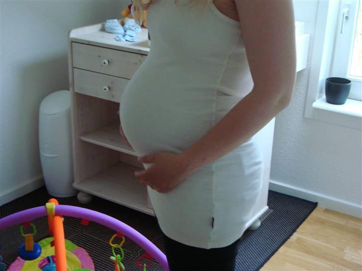Min Mave - Uge 32 billede 15