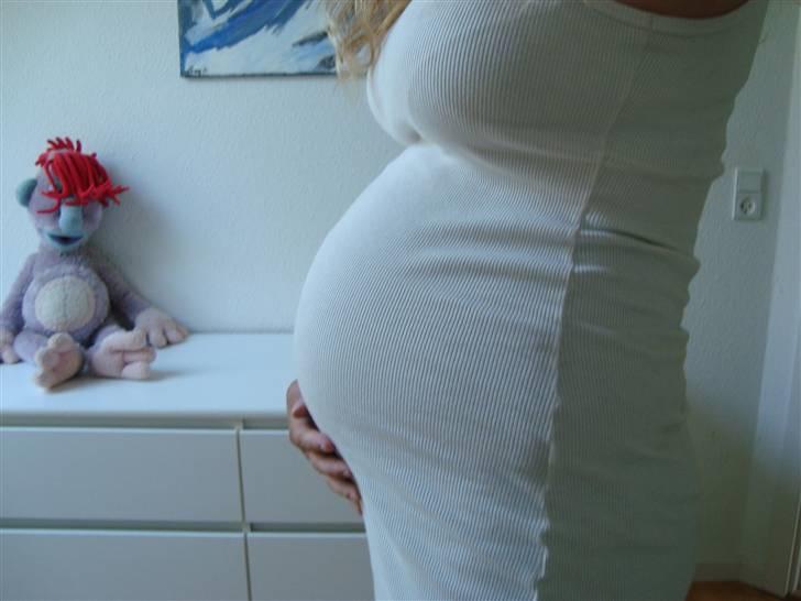 Min Mave - Uge 32 billede 20