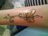 Tatoo