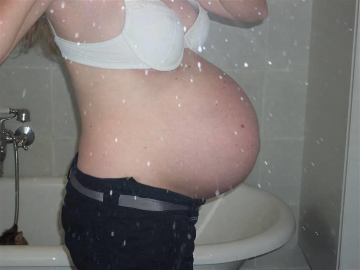 Mavebilleder med tvillinger - Uge 30. Vægten siger + 15 kg nu. billede 3
