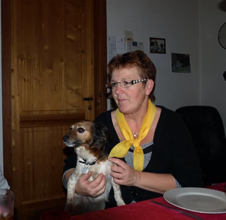 Farmor, farfar, bedstefar og bedstemor - Bedstemor og Zip billede 4