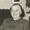 Lotta Ingolf  