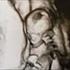 Sidse 39+ -