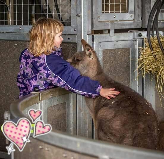 Legekammerater 3-5 år søges, Djursland