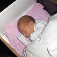 Pige isabella martine