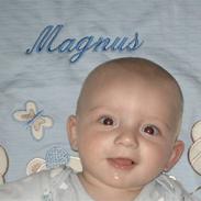 Dreng magnus