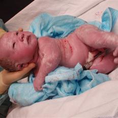 Dreng Noah Nickolai