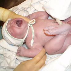 Dreng Noah Nickolai