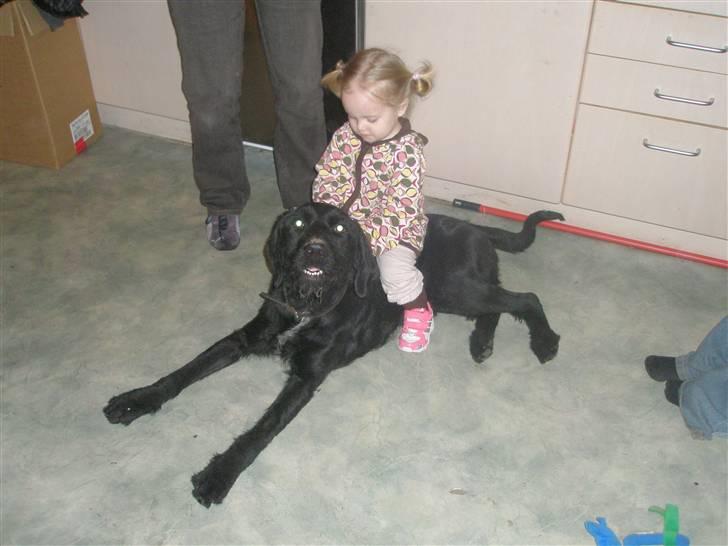 Pige Mathilde Caroline billede 15