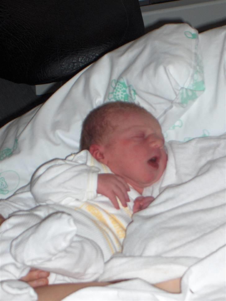 Pige KATRINE - Katrine få timer gammel billede 2