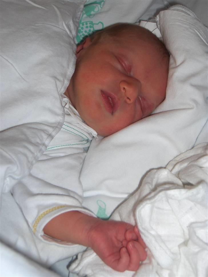 Pige KATRINE - stadigvæk på HS... nu vil vi snart hjem..... billede 4