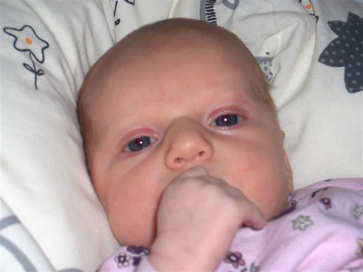 Pige KATRINE - Hejsa der... nu er der øjne.... billede 9