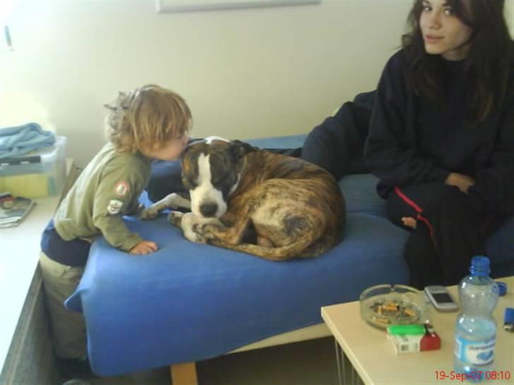 Dreng Stefan - Her er jeg med min hund og mor :D jeg elsker dem begge meget højt. billede 6