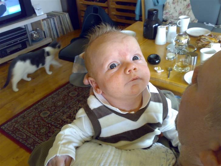 Dreng Frederik - 1 måned og 2 dage gammel billede 6