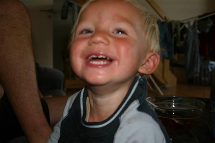 Dreng Bjørn billede 4