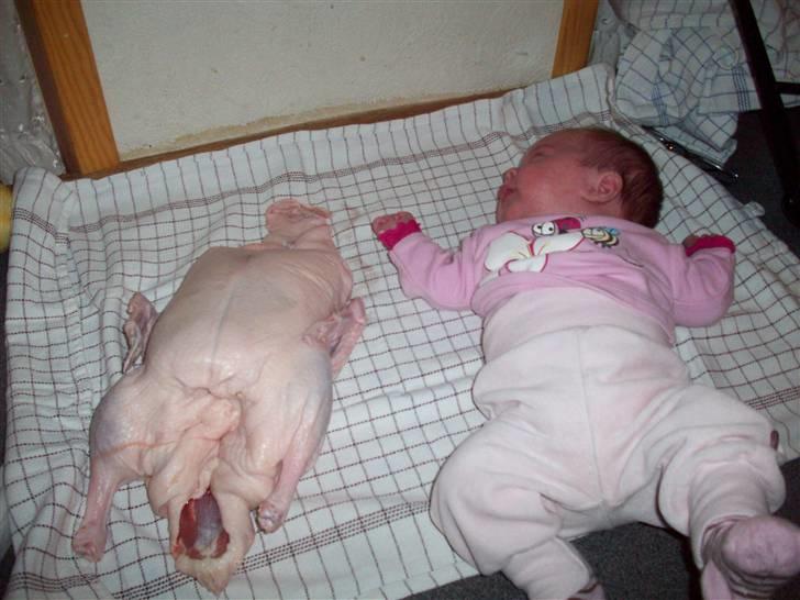 Pige Signe piiin billede 8