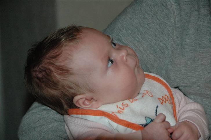 Pige Signe piiin billede 13